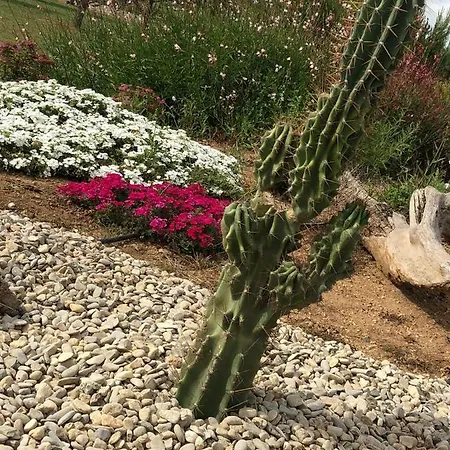 Les Saint Pierre Agde